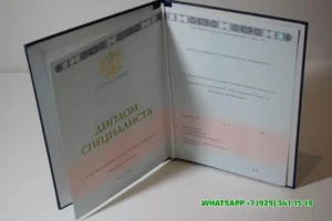 Купить диплом Пензенского филиала Академии МНЭПУ в Солнечногорске